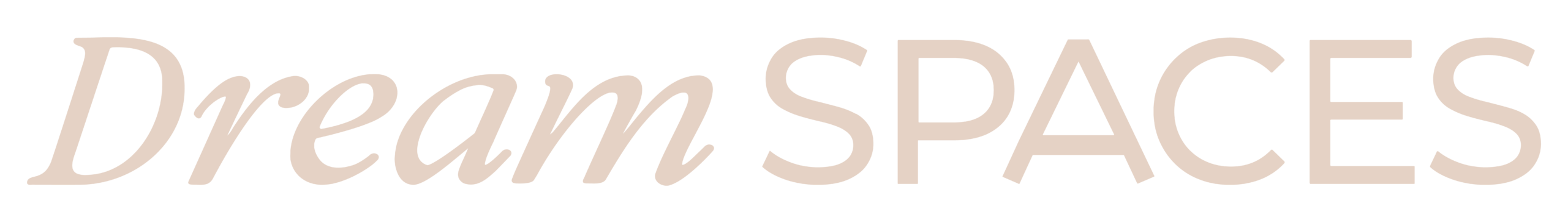 Dream Spaces Logo